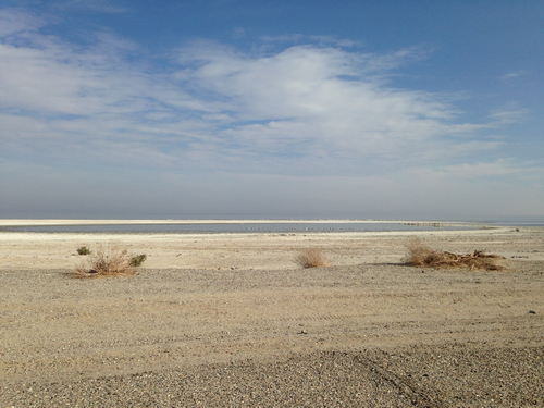 Salton Sea Area - 2015-2020 Photos